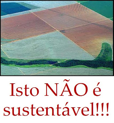 Isto não é sustentável!