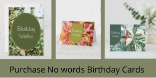Purchase no words birthday cards