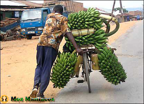 Bicicleta para babanas