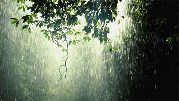 News,Kerala,State,Thiruvananthapuram, Trending,Top-Headlines,Rain, Asani: Isolated showers are likely in Kerala in next few hours