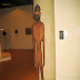 Indiana University Art Museum