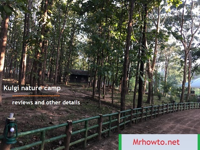 Kulgi nature camp reviews