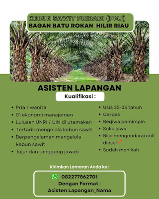 Lowongan Kebun Sawit Pribadi (PMJ) di Bagan Batu, Rokan Hilir, Riau