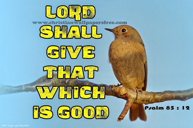 LORD shall give that which is good