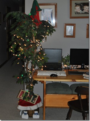 Our tree