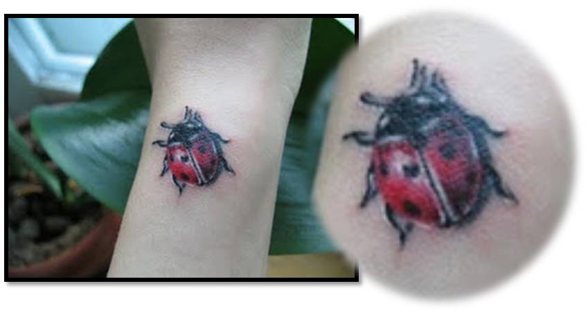 Here are a Few pictures of small tattoos design ideas for inspiration