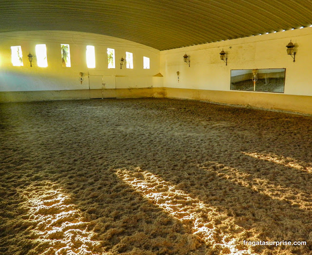 Poule de treinamentos da Arena de Touros de Ronda na Andaluzia