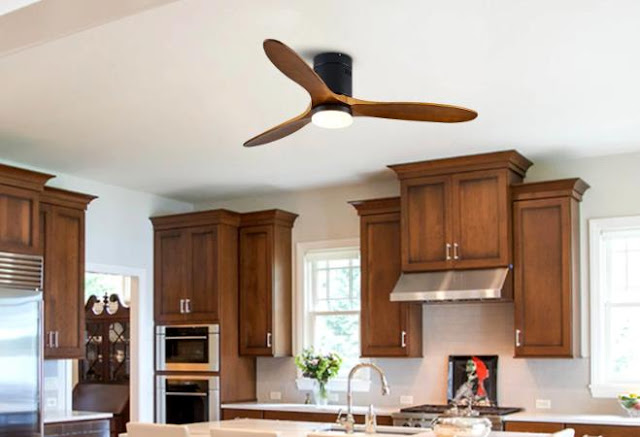Two-blade ceiling fans
