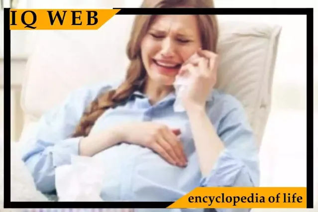 What is a false pregnancy and the reasons for the emergence of this pregnancy
