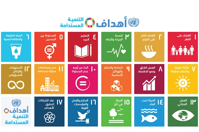 برنامج اونلاين مجاني بشهادة معتمدة للتوعية بأهداف التنمية المستدامة بالتعاون بين وزارة الدولة للاعلام و شركة EYouth | SDGS Egypt