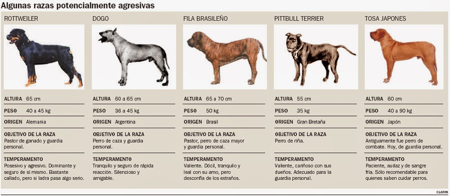 Fotos de todas las razas de perros Mascotas de Raza - Imágenes De Todos Los Perros Del Mundo