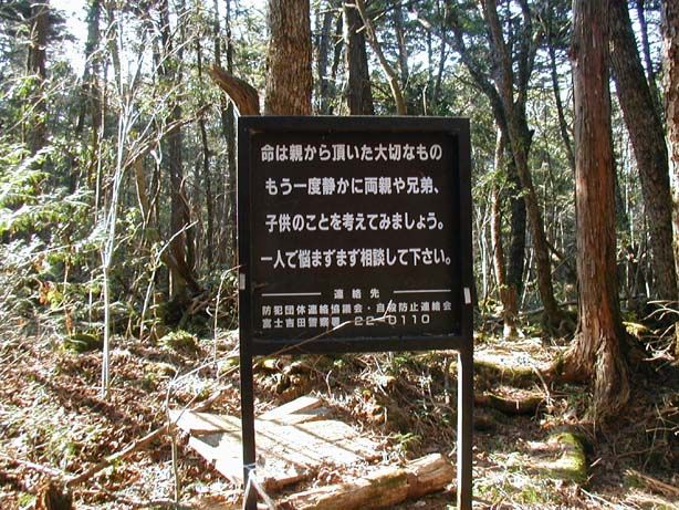 [Gambar 18sg] Hutan Aokigawa kawasan 'Pelancongan' Paling 