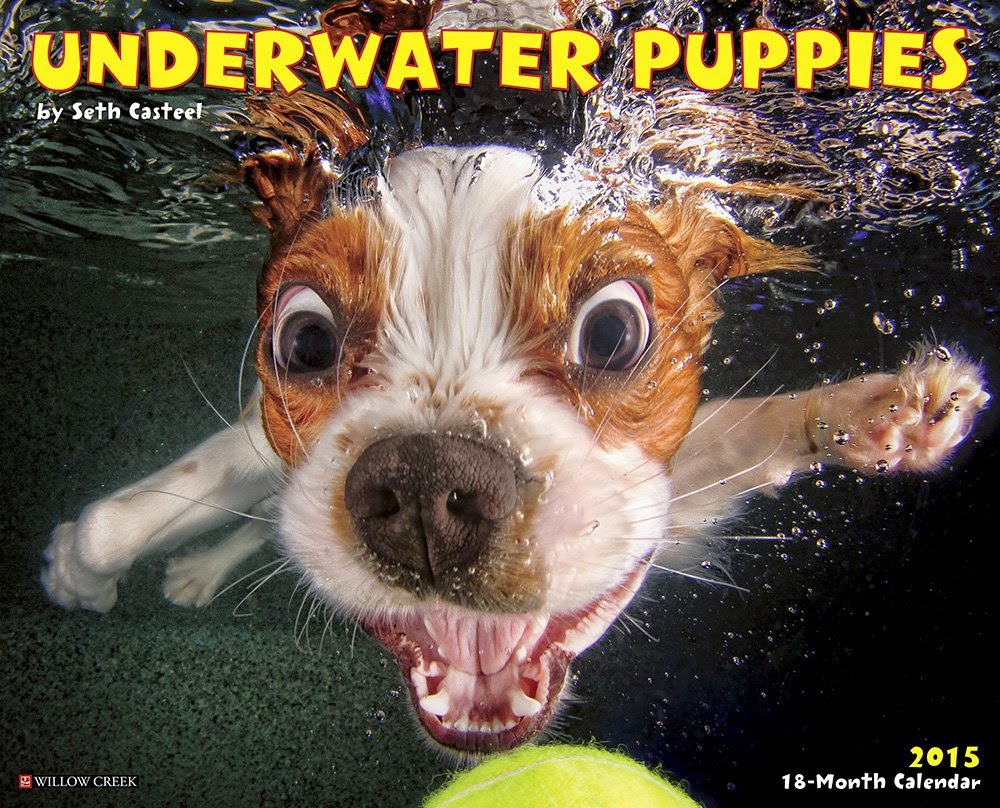  Underwater Puppies 2015 Wall Calendar