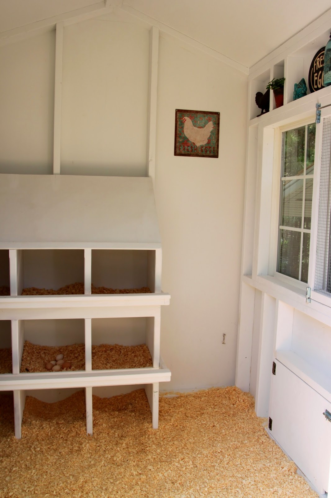 ve even started on the inside of the coop and thought you'd enjoy a 