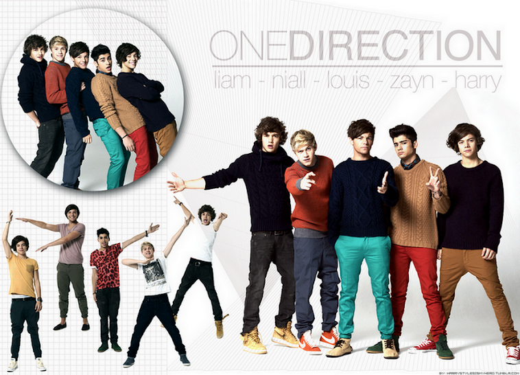 United One Direction Brazil