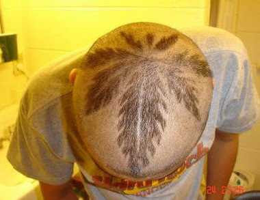 funny Cool Haircut