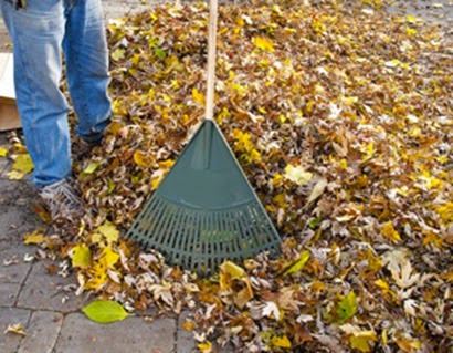 leaves_mulch