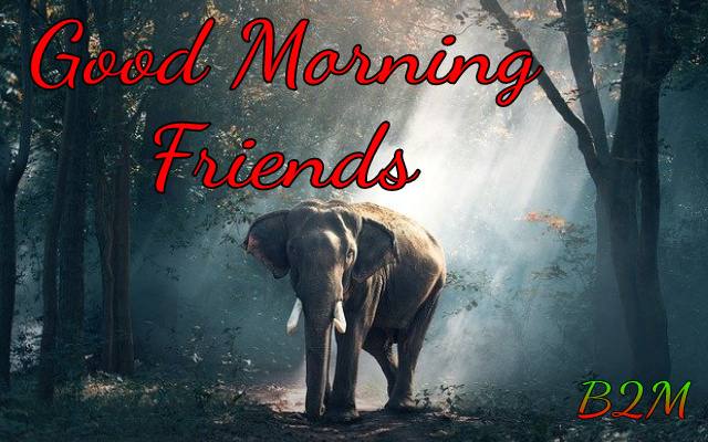 [Best] HD Good Morning Photos For Free