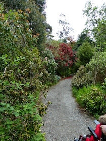 Parc National de Glenveagh