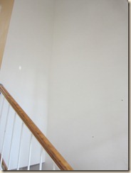 remodel paint 005