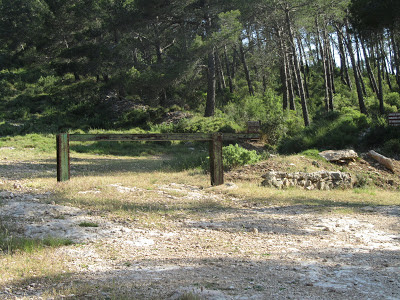 Coll d'Arca i Avenc de Carles V; a la Juncosa del Montmell