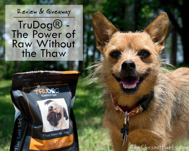 Review & Giveaway: TruDog®: The Power of Raw Without the Thaw