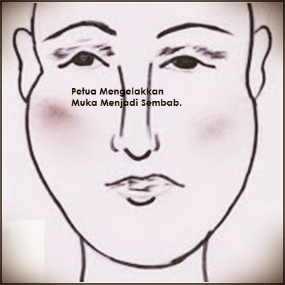 http://petuo.blogspot.com/2014/03/petua-mengelakkan-muka-menjadi-sembab.html