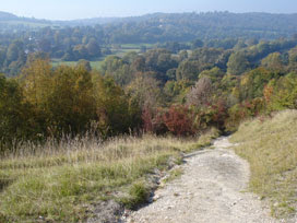 view from Box Hill