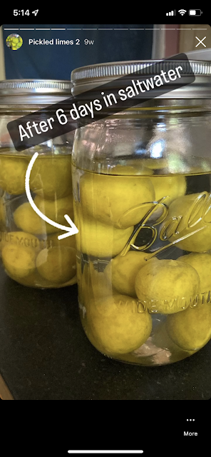 a very similar image, this time with limes that are more yellow and brownish. Text in the image says "after 6 days in brine"