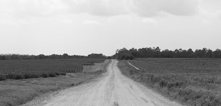 A dirt road in rural Brooks County, GA