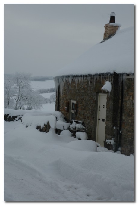 snow in northumberland