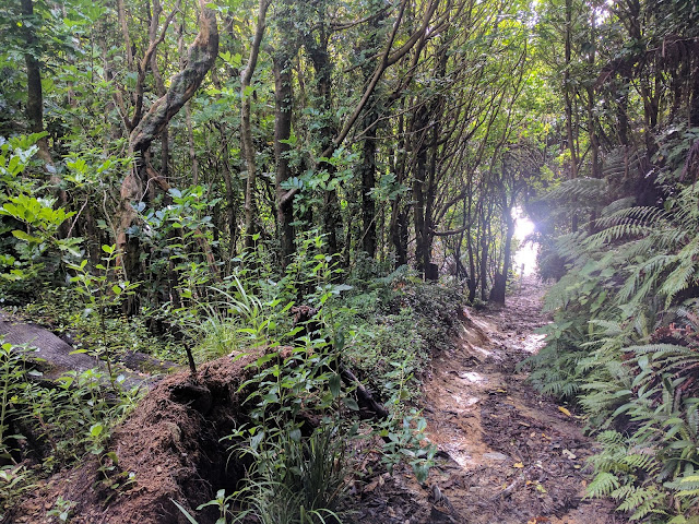 Queen charlotte track