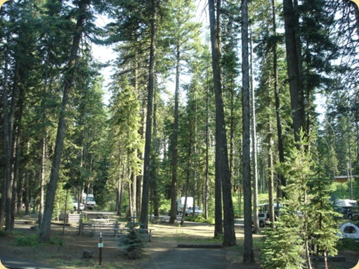 Drive to Emigrant Springs State Park, OR 410