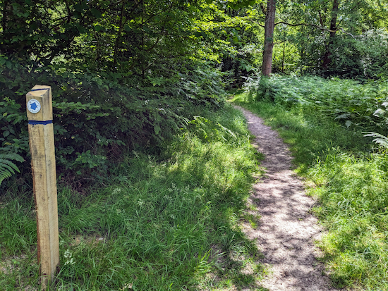 A sign post along the blue trail in Northaw Great Wood