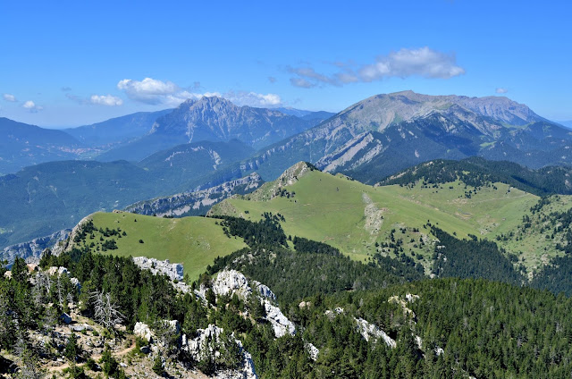 Cavalls del vent. Cadí Moixeró niu d'aliga serrat de les esposes. penyes altes