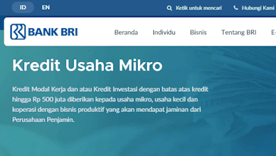 keuntungan kredit usama mikro dari KUR bri