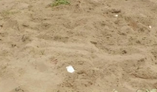 VIDEO: Hallan cuerpo semi enterrado en dunas de Cotazacoalcos Veracruz