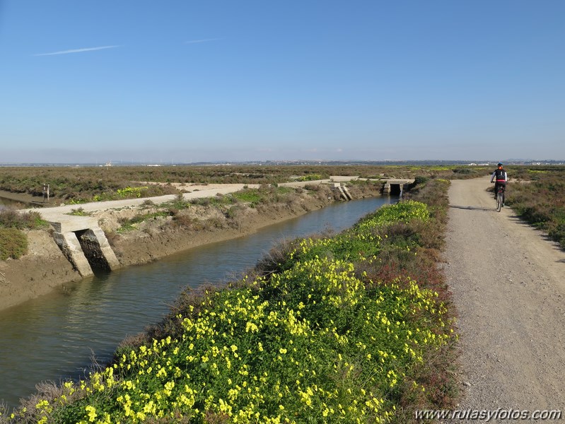 Cortadura (Cadiz) - San Fernando - Tres Caminos