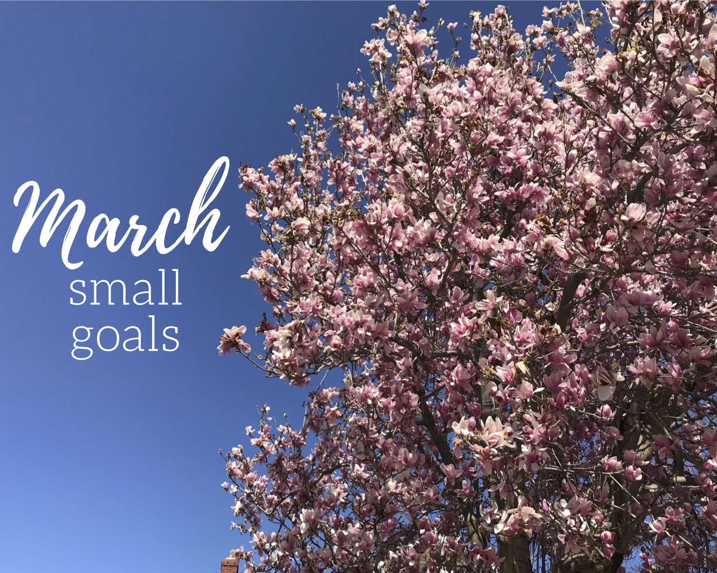 Priya the Blog, Nashville lifestyle blog, March Small Goals, Nashville blogger, small goals, monthly goals