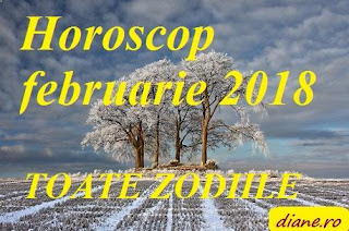 Horoscop februarie 2018 pentru toate zodiile