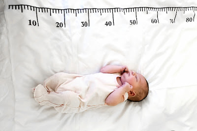 length of a newborn baby is an example of which scale of measurement, length of a newborn baby in cm, length of a newborn baby anaconda, measurements of a newborn baby, measurements of a newborn baby's head, average length of a newborn baby, normal length of a newborn baby, average length of a newborn baby girl, length of average newborn baby, average length of a newborn baby boy, average length of a newborn baby australia, average length of a newborn baby uk, average length of a newborn baby's leg, average length of newborn baby, what is the length of a newborn baby, what is the length of a newborn baby foot, what is the size of a newborn baby stomach, what is the size of a newborn baby, what is the size of a newborn baby's head