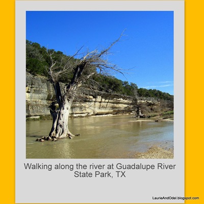 guadalupe river state park. “Peanutty Chicken Stew” is