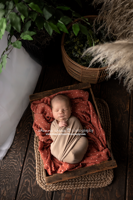 Newborn photography Eugene OR, baby boy in rust wrap asleep in wooden bed