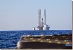 Unbekanntes See-Wesen auf dem Schlag nach Hammamet (Tunesien)