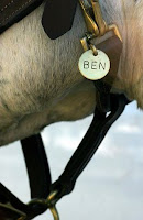 Ben's Halter Name Plate