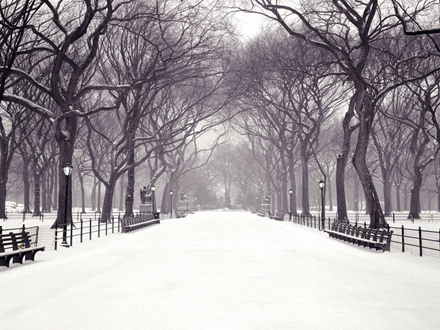 WINTER IN CENTRAL PARK