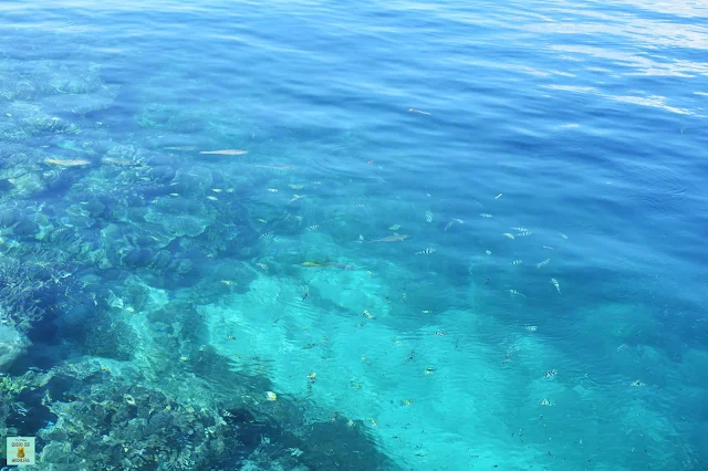 Snorkeling en Kri (Raja Ampat)