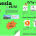  ✨ 畅游印尼必备：XL Axiata eSIM，4G 高速无限畅连！ 🌍📱