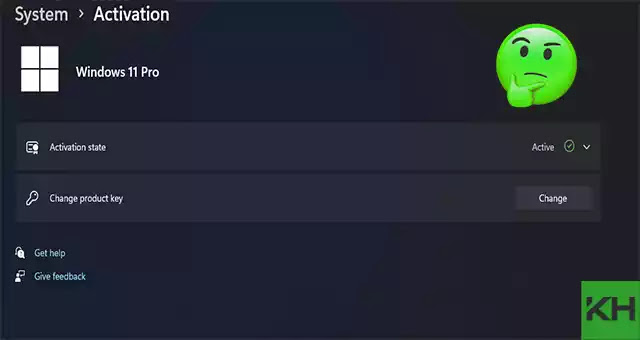 How to find out the serial used to activate Windows