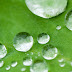 Drops of Life 1